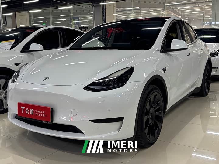 Tesla Model Y rear-wheel drive version