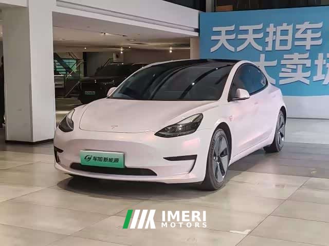 Tesla Model 3 standard range rear drive upgraded version 3D6