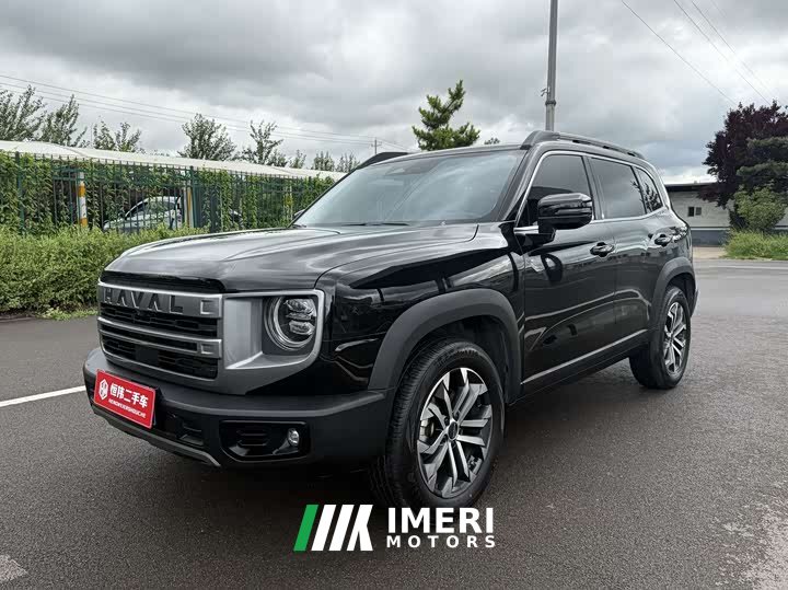 Haval Big Dog 2024 1.5T DCT Border Collie Edition