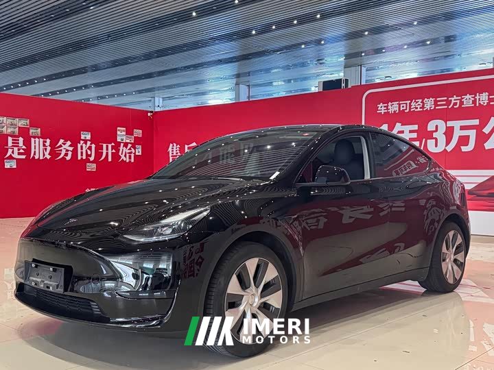 Tesla Model Y rear-wheel drive version