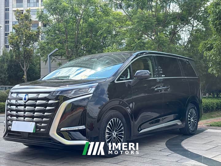 Denza D9 DM-i 1050 exclusive