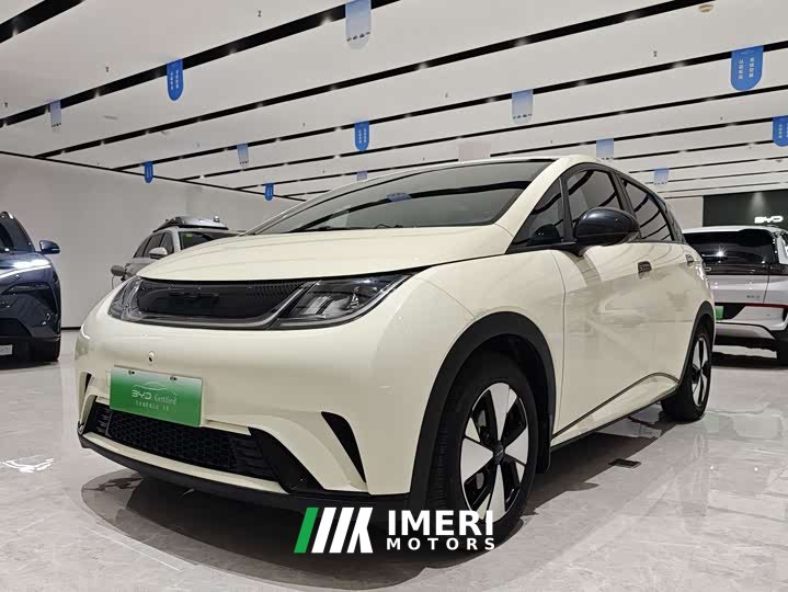BYD Dolphin 420km Free Edition