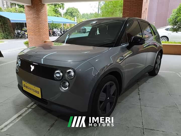 Lynk & Co firefly luminous version