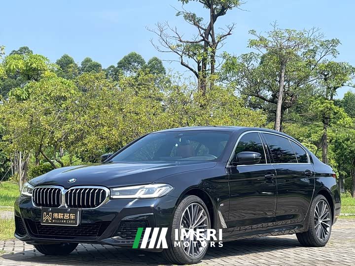 BMW 5 Series 530Li xDrive M Sports Package