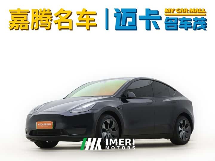 Tesla Model Y rear-wheel drive version