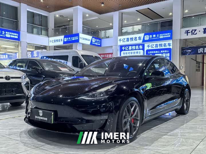 Tesla Model 3 Performance high-performance all-wheel drive version