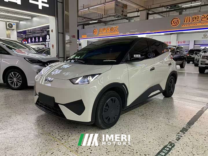 BYD Seagull 305km Free Edition