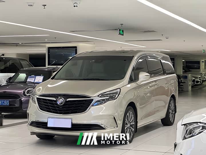 Buick GL8 ES Luzun 653T luxury