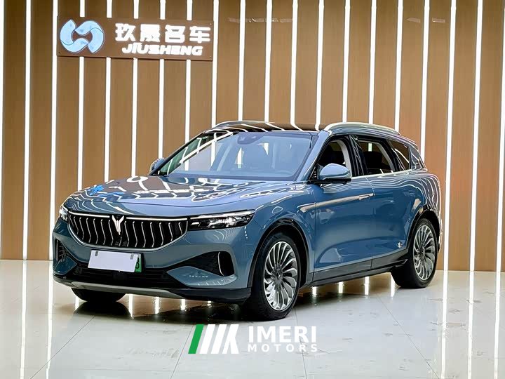 Voyah Lantu FREE 2021 four-wheel drive standard extended range exclusive luxury package