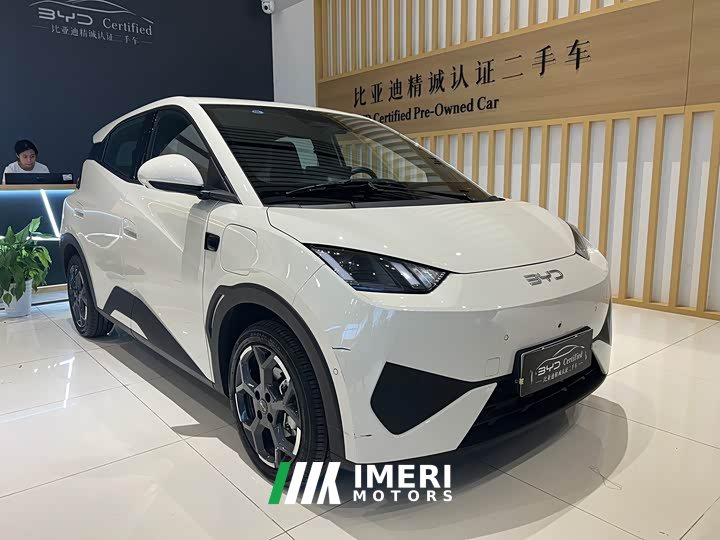 Tesla Seagull 305km Free Edition