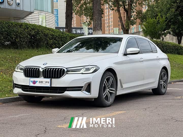 BMW 5 Series 530Li Leading Luxury Package