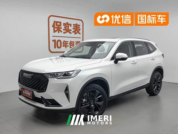 Haval H6 2021 third generation 2.0T automatic two-wheel drive Max