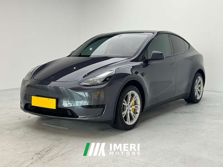 Tesla Model Y rear-wheel drive version