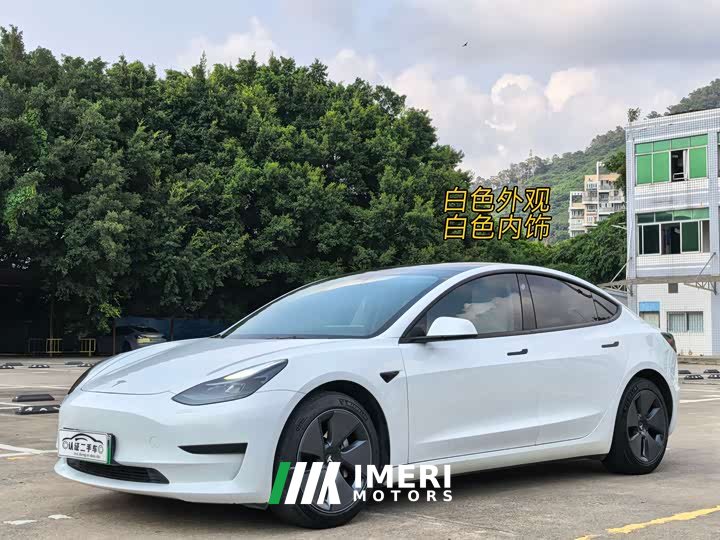 Tesla Model 3 Standard Range Edition 3D6