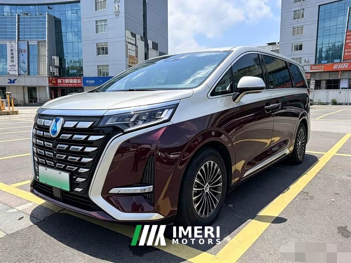 Denza D9 DM-i 970 four-wheel drive flagship