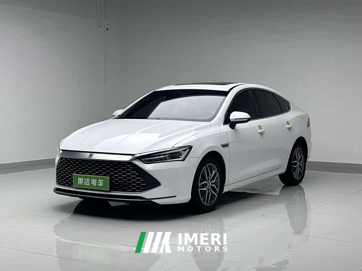 BYD Qin PLUS Champion Edition DM-i 120KM Leading Type