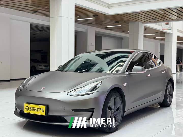 Tesla Model 3 Standard Range Edition 3D6