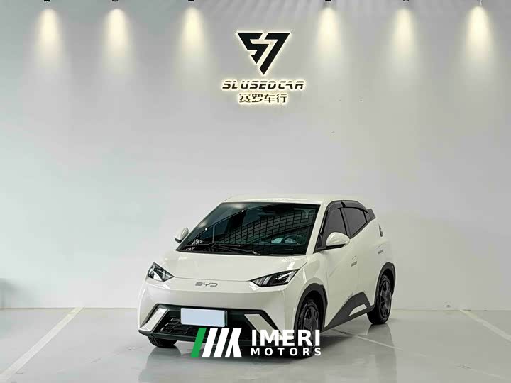 BYD Seagull 305km free version
