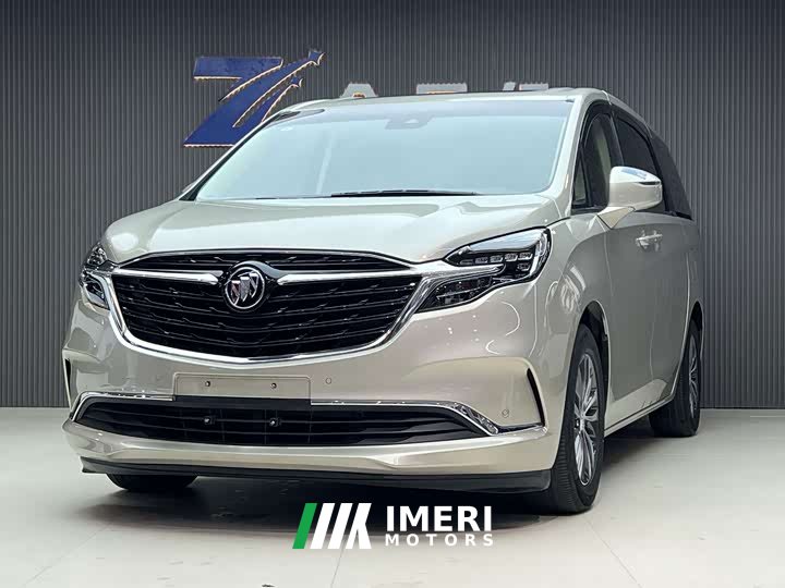 Buick GL8 ES Lu Zun 653T Exclusive Type