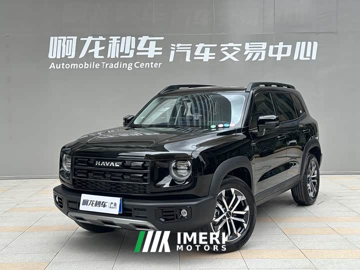 Haval Big Dog 1.5T DCT Border Collie Edition