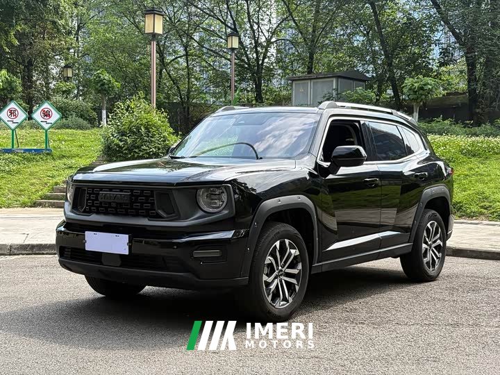 Haval Big Dog PLUS 2023 2.0T two-wheel drive wild version Plus