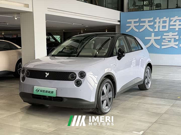 Lynk & Co firefly Freedom Edition