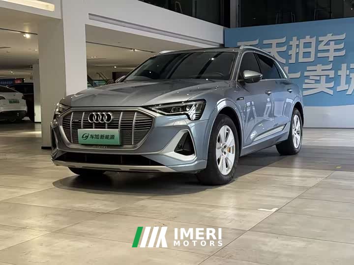 Audi e-tron 2021 50 quattro luxury