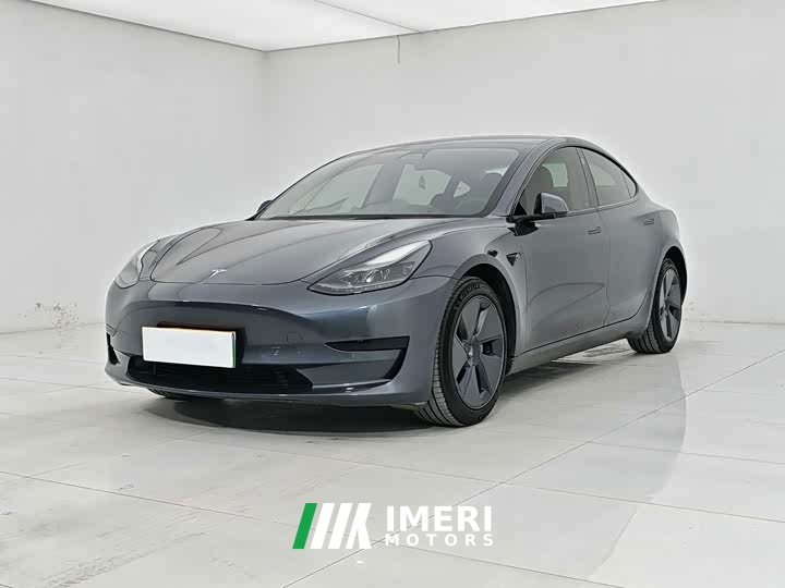 Tesla Model 3 2021 standard range rear drive upgraded version 3D6