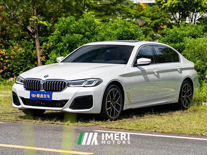 BMW 5 Series Facelift II 530Li Luxury M Sport Package