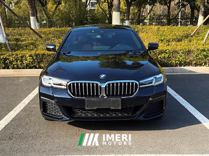 BMW 5 Series 530Li Leading M Sports Package