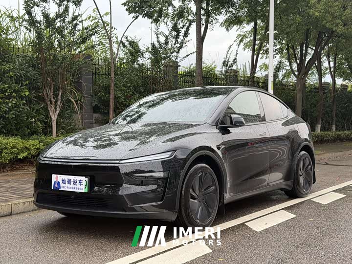 Tesla Model Y rear-wheel drive version
