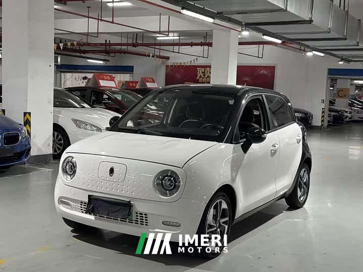 Ora Euler Black Cat 301km Cute Pet Edition Lithium Iron Phosphate