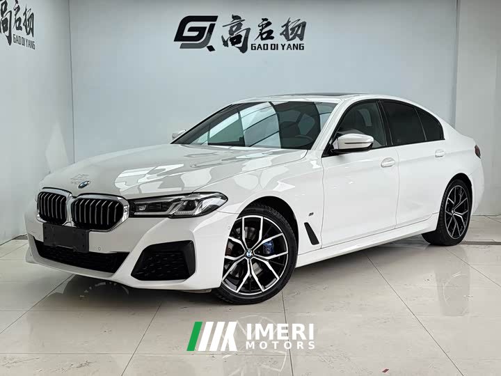 BMW 5 Series (Imported) 530i M Sport Package