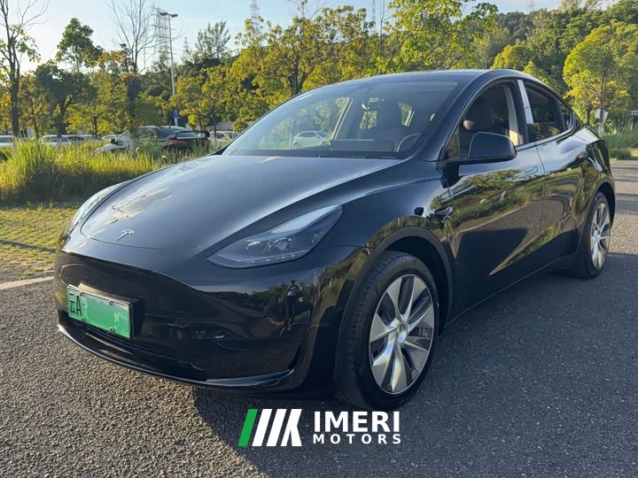 Tesla Model Y rear-wheel drive version