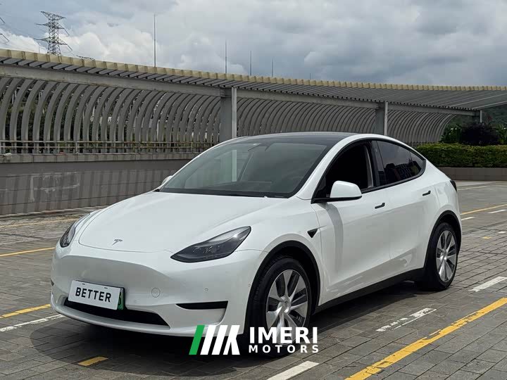 Tesla Model Y rear-wheel drive version