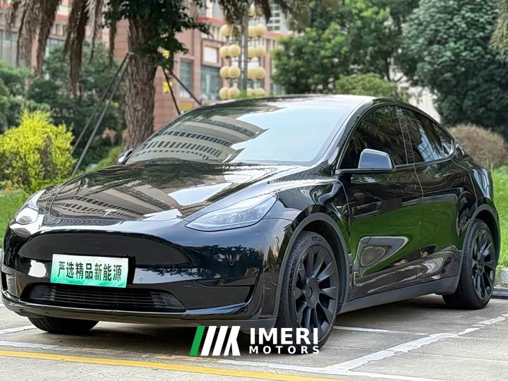 Tesla Model Y rear-wheel drive version