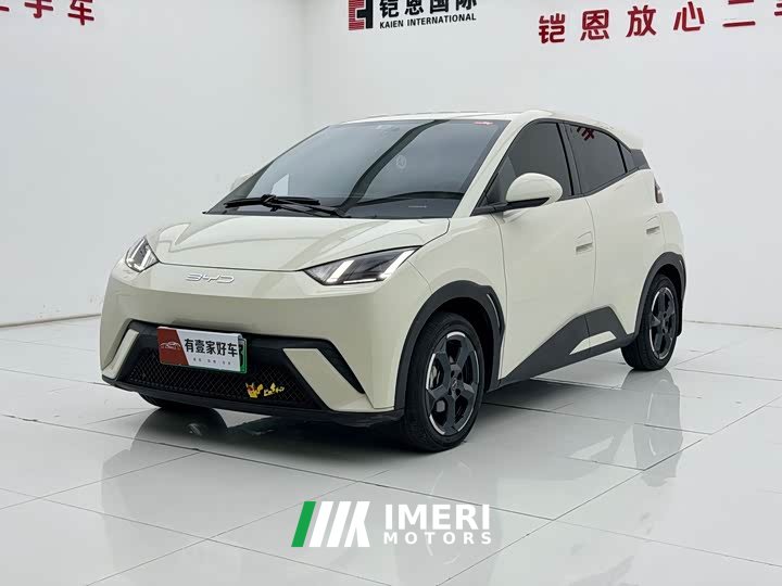 BYD Seagull Free Edition
