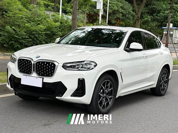 BMW X4 xDrive 25i M Sports Package