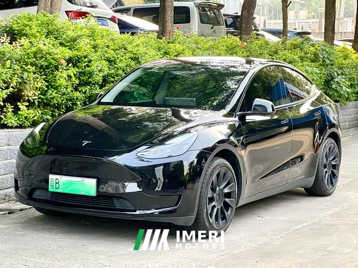 Tesla Model Y rear-wheel drive version
