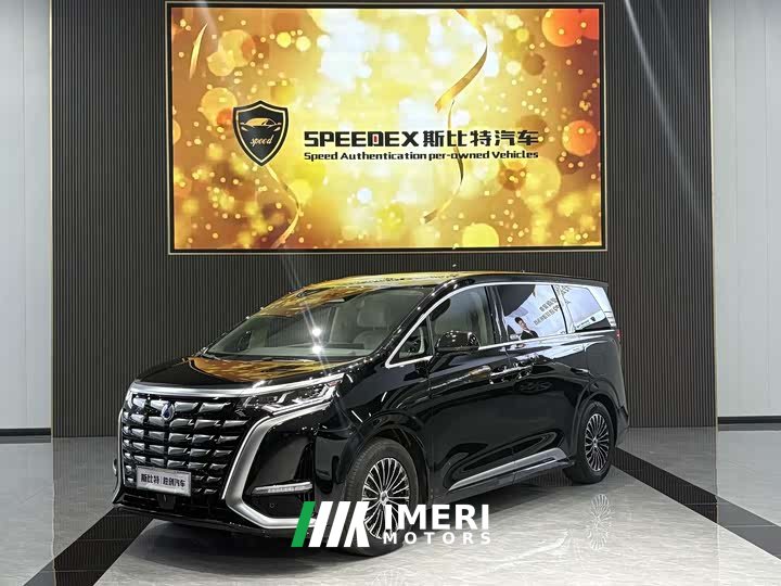 Denza D9 2024 DM-i 980 four-wheel drive flagship