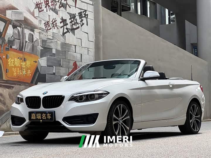BMW 2 Series (Imported) 2019 225i Convertible Coupe Sports Design Package