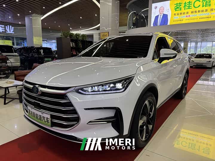 BYD Tangxin Energy 2023 DM-i Champion Edition 112KM Exclusive Type