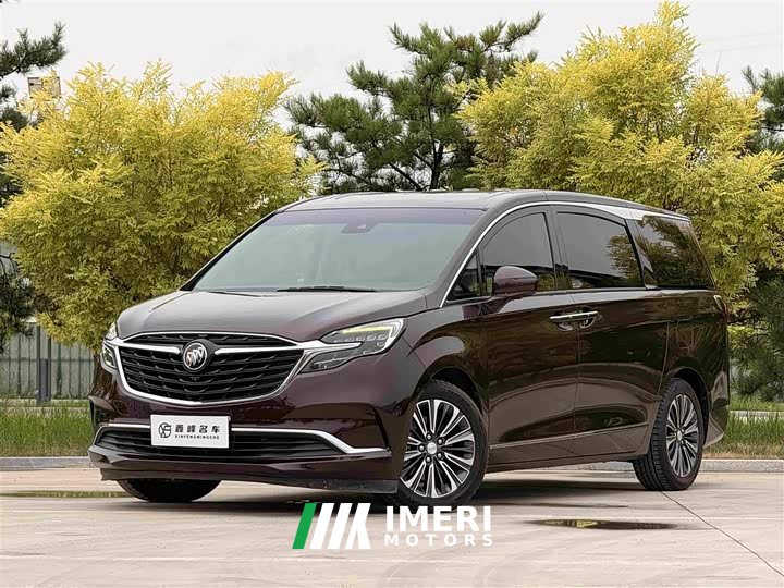 Buick GL8 ES Lu Zun 653T flagship