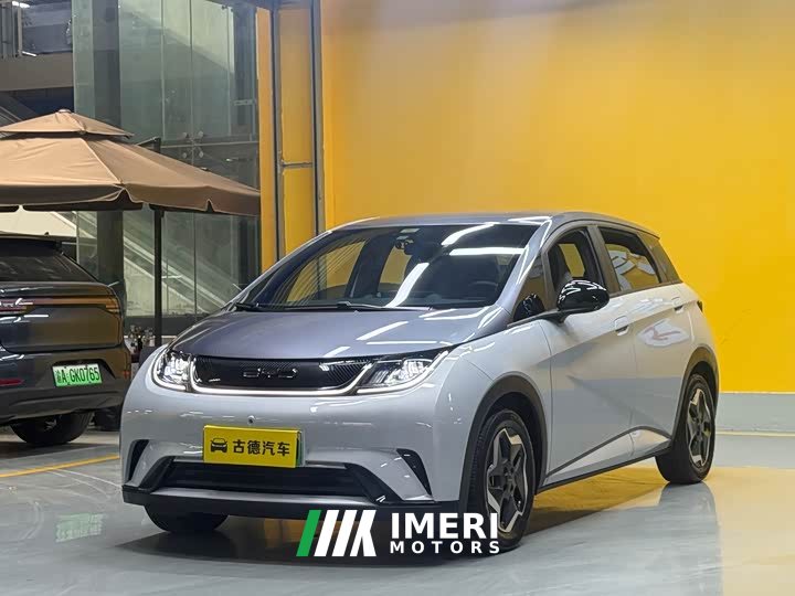 BYD Dolphin 2021 405km fashion version