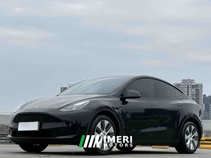 Tesla Model Y rear-wheel drive version