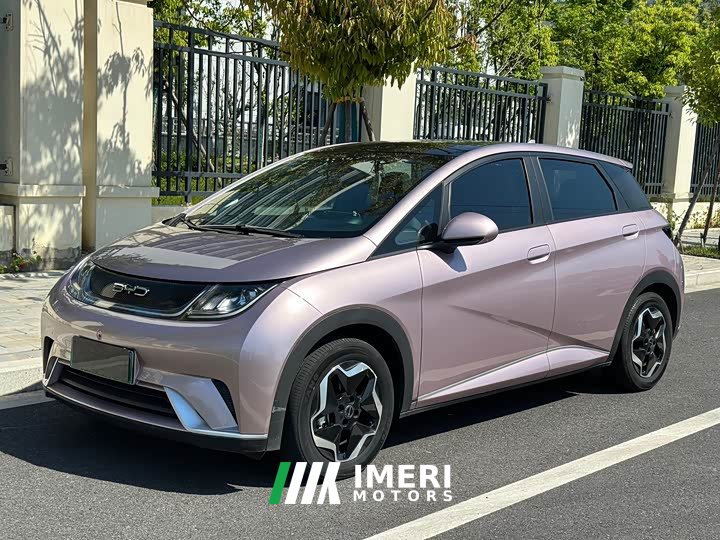 BYD Dolphin 2021 405km Free Edition