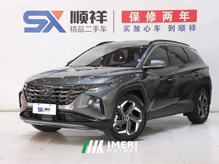 Lexus Tucson L 1.5T automatic two-wheel drive DLX luxury version