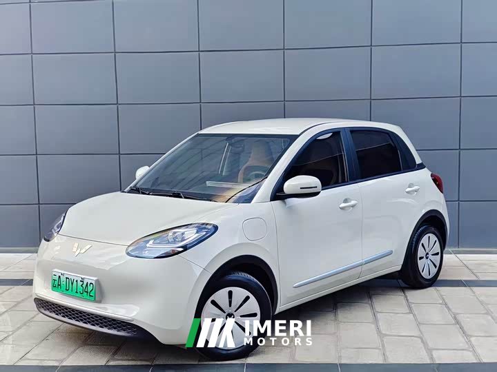 Wuling Bingo 333km express