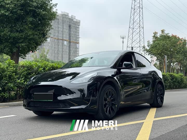 Tesla Model Y rear-wheel drive version