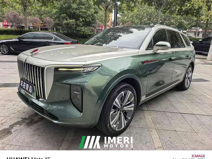 Hongqi E-HS9 460km flagship version six seats